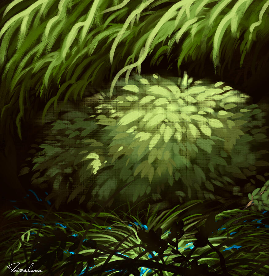 Bush Study
