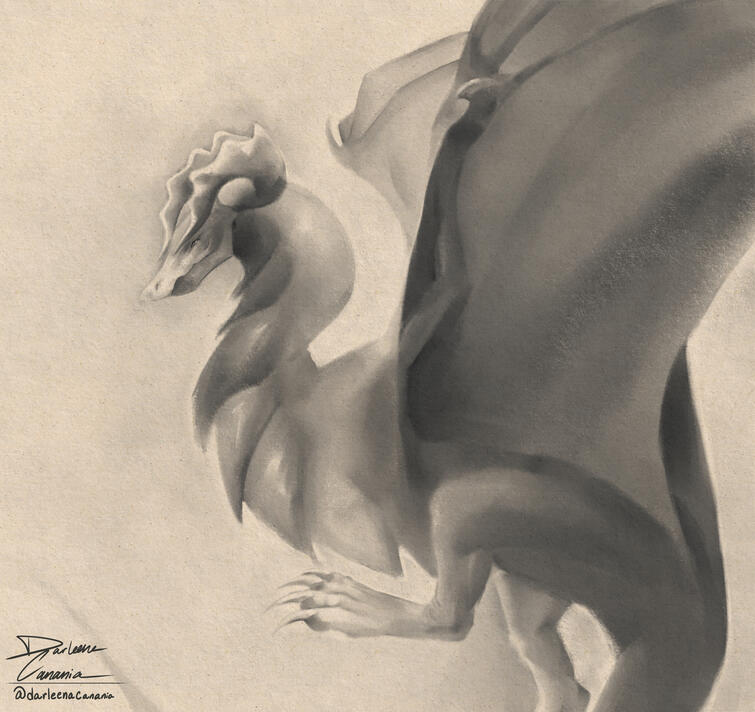 Dragon Sketch | darleenacananiabusiness@gmail.com