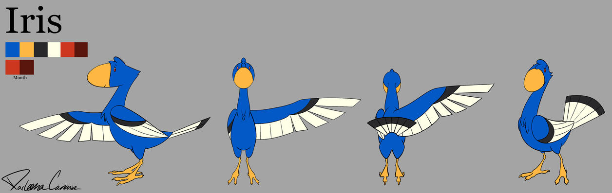 Iris Turn Around Model Sheet